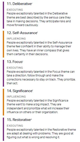 An image from Andy's Strengths report